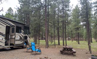Reuben's photo of rv camping at Jemez Falls Campground near Cañones, NM
