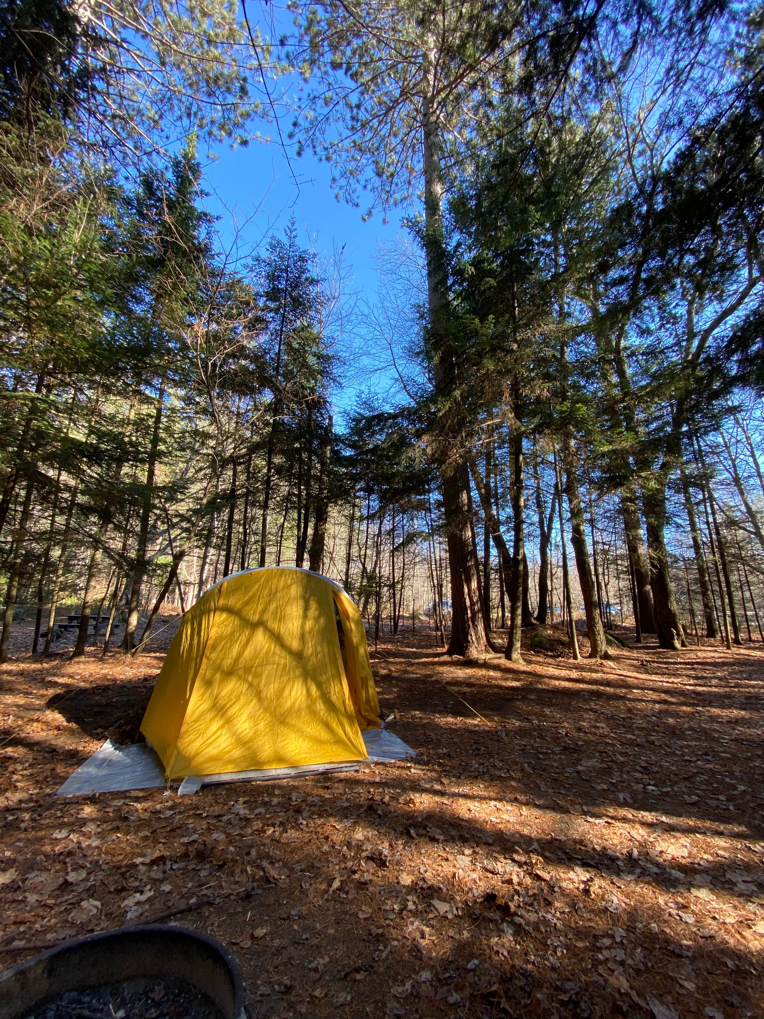 Laura Nicole A.'s photo of tent camping at Wilderness Campground at Heart Lake near Rainbow Lake, NY