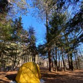 Review photo of Wilderness Campground at Heart Lake by Laura Nicole A., November 2, 2020