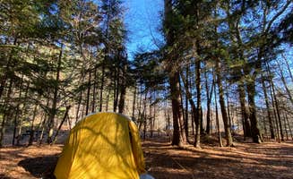 Laura Nicole A.'s photo of tent camping at Wilderness Campground at Heart Lake in New York