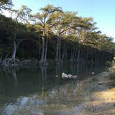 Review photo of Live Oak — Garner State Park by Adam W., May 23, 2018