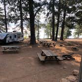 Review photo of North Shore Campground - Lake Almanor by Jessicca , November 2, 2020