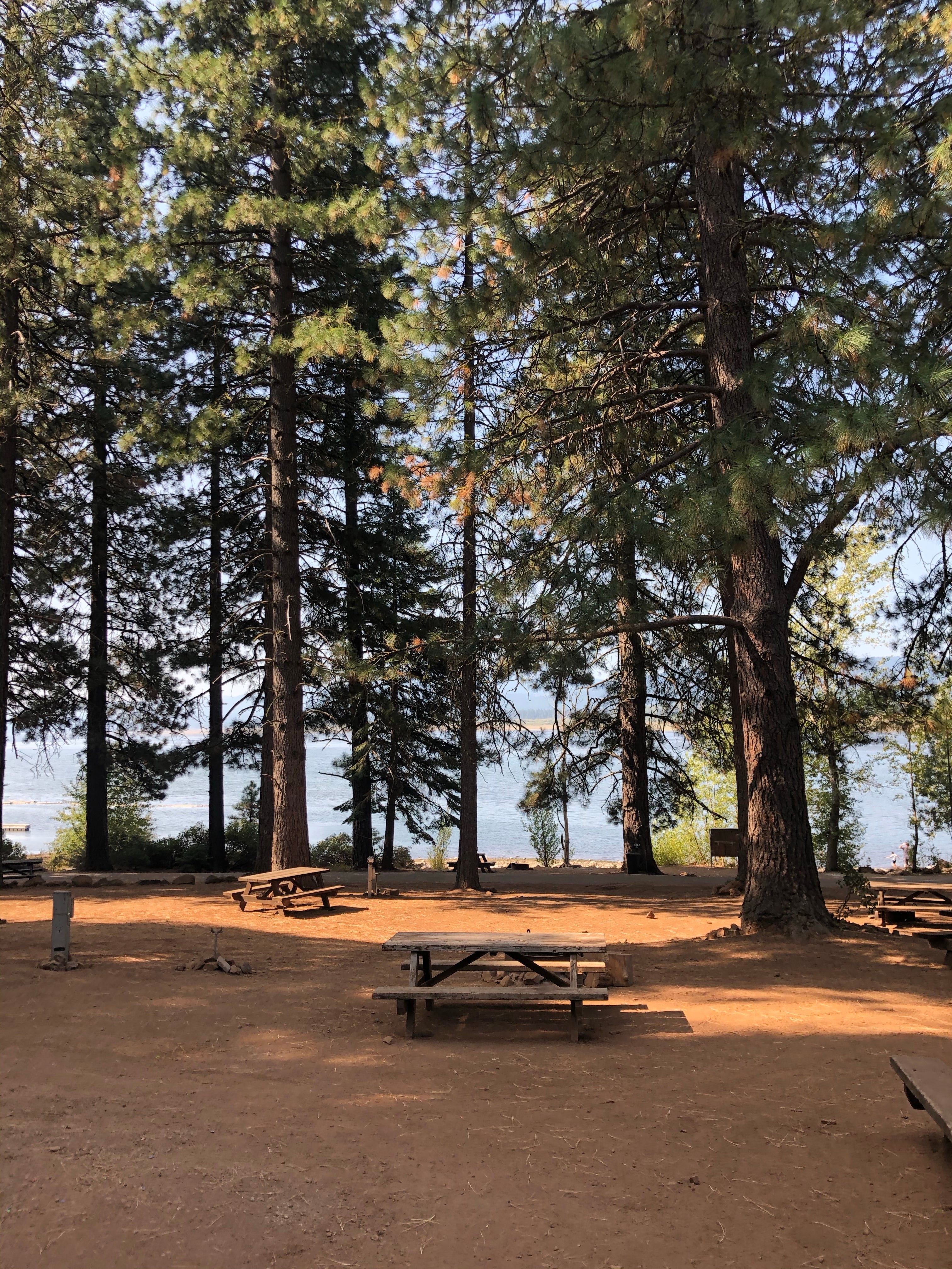 Camper submitted image from North Shore Campground - Lake Almanor - 1