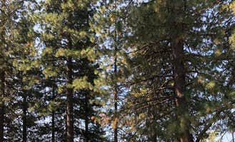 Camping near Cool Springs Campground: North Shore Campground - Lake Almanor, Chester, California