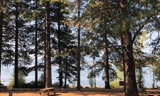 Camping near Gurnsey Creek: North Shore Campground - Lake Almanor, Chester, California