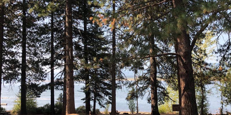 Camper submitted image from North Shore Campground - Lake Almanor