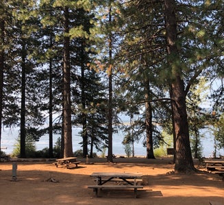 Camper-submitted photo from North Shore Campground - Lake Almanor