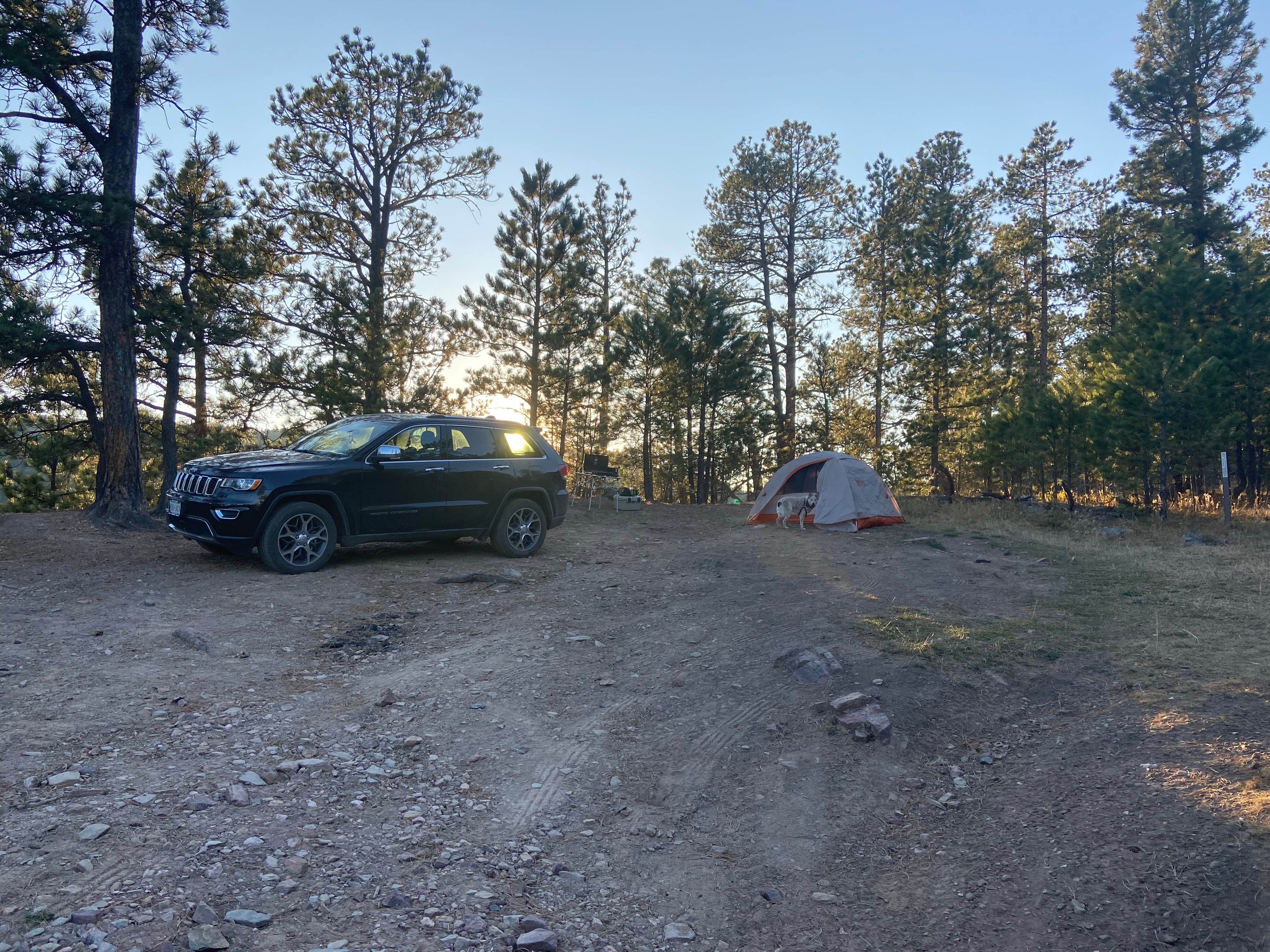 Peter S.'s photo of a dispersed camping area at West Nemo - Dispersed Camping near Deadwood, SD