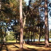 Review photo of Bass Lake Campground by Robert M., November 2, 2020