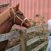 Review photo of Thousand Trails Gettysburg Farm by Robert M., November 3, 2020