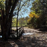 Review photo of Lake Leatherwood City Park by Donna H., November 3, 2020