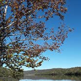 Review photo of Lake Leatherwood City Park by Donna H., November 3, 2020