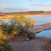 Review photo of Lake Pleasant Regional Park Campground by C. W., November 3, 2020