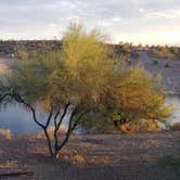 Review photo of Lake Pleasant Regional Park Campground by C. W., November 3, 2020