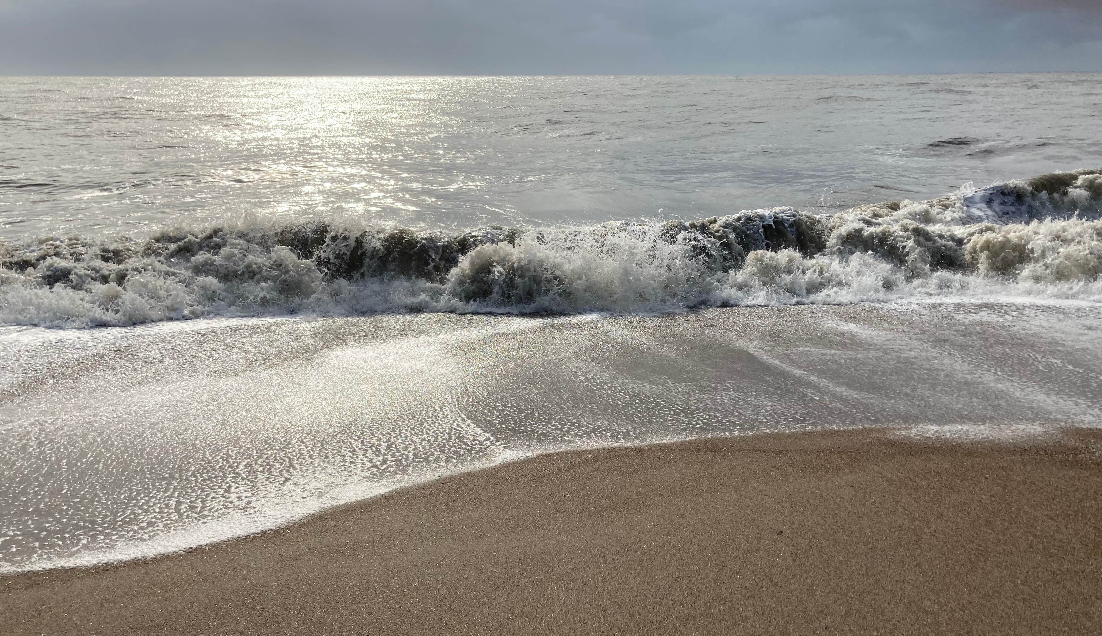 Edisto Beach State Park Campground