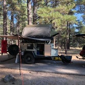 Review photo of Pinegrove Campground by Big_Tan_Turtle _., November 3, 2020