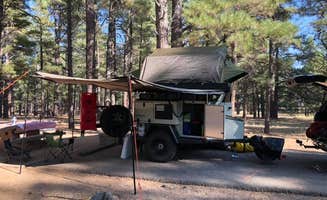 Big_Tan_Turtle _.'s photo at Pinegrove Campground near Leupp, AZ