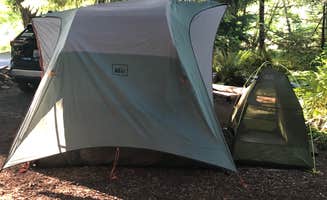 Big_Tan_Turtle _.'s photo at Elkamp Eastcreek near Elbe, WA