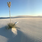 Review photo of Backcountry Primitive Sites — White Sands National Park by Martin M., November 3, 2020