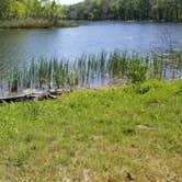 Review photo of Brazos Bend State Park Campground by Julie D., November 3, 2020