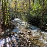 Review photo of Desoto Falls Recreation Area by Kristin R., November 3, 2020
