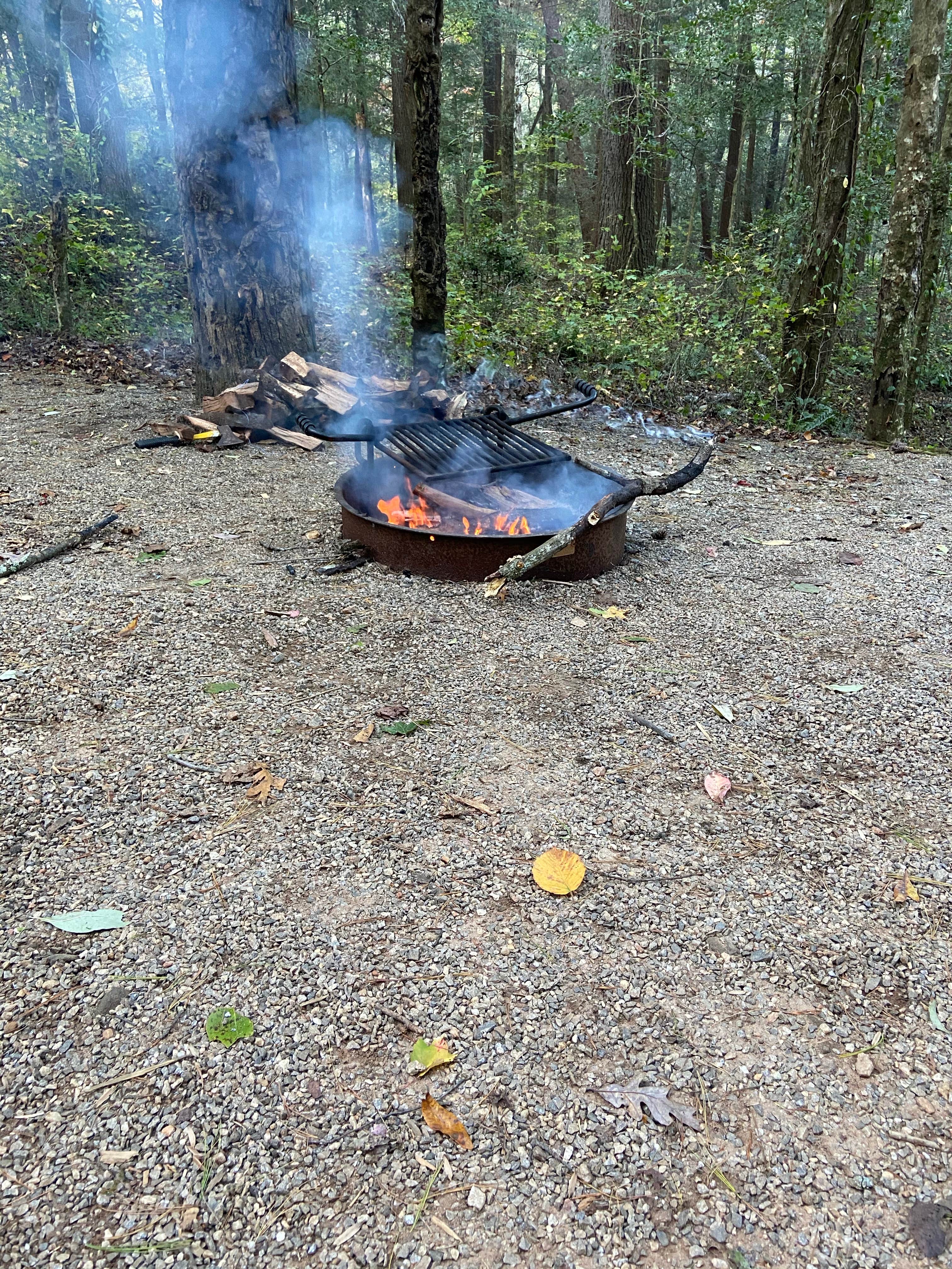 Camper submitted image from Desoto Falls Recreation Area - 2