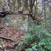 Review photo of Desoto Falls Recreation Area by Kristin R., November 3, 2020