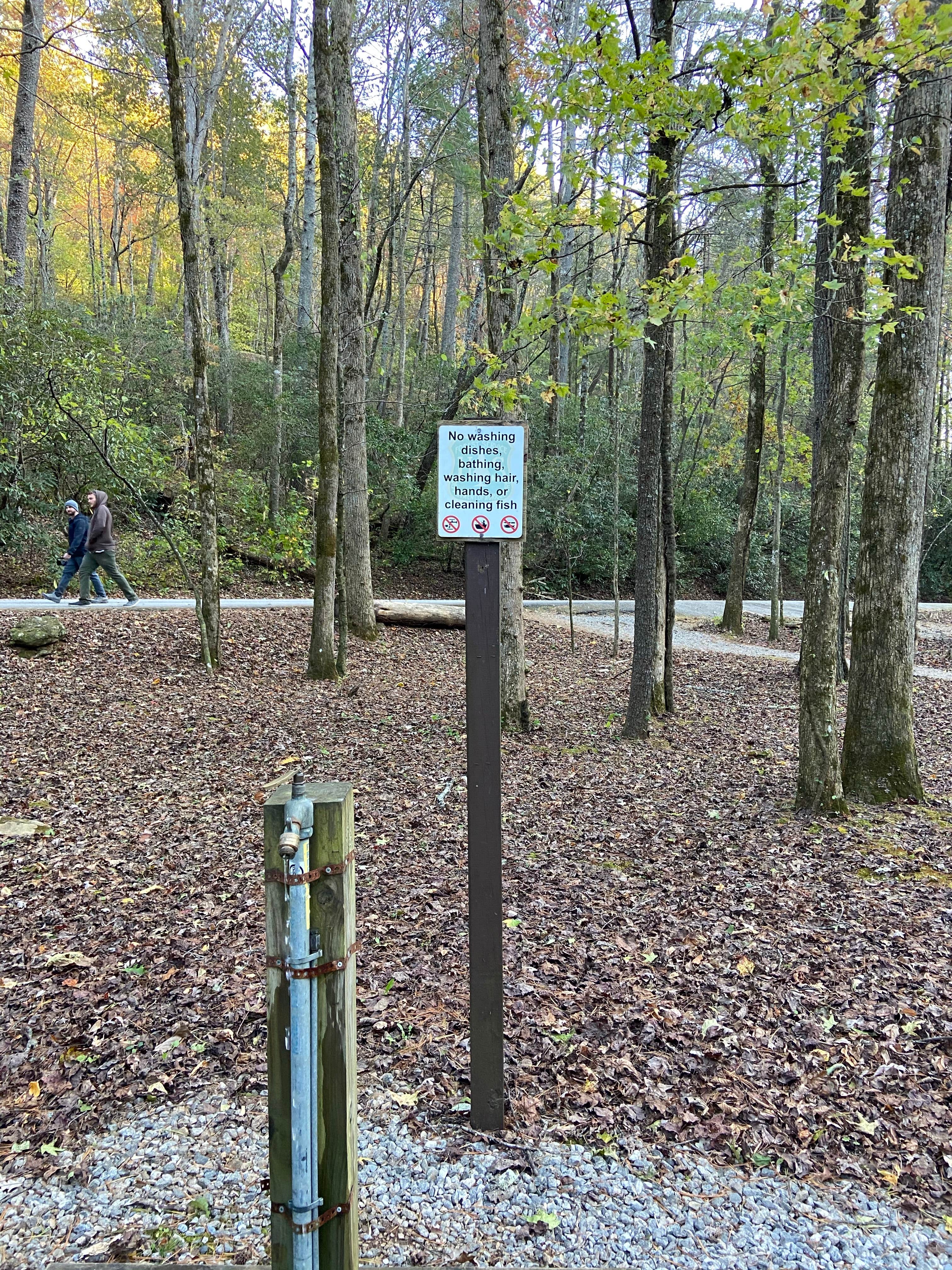 Camper submitted image from Desoto Falls Recreation Area - 3