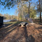 Review photo of McIntosh Reserve Park by Samantha S., November 3, 2020