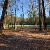 Review photo of McIntosh Reserve Park by Samantha S., November 3, 2020