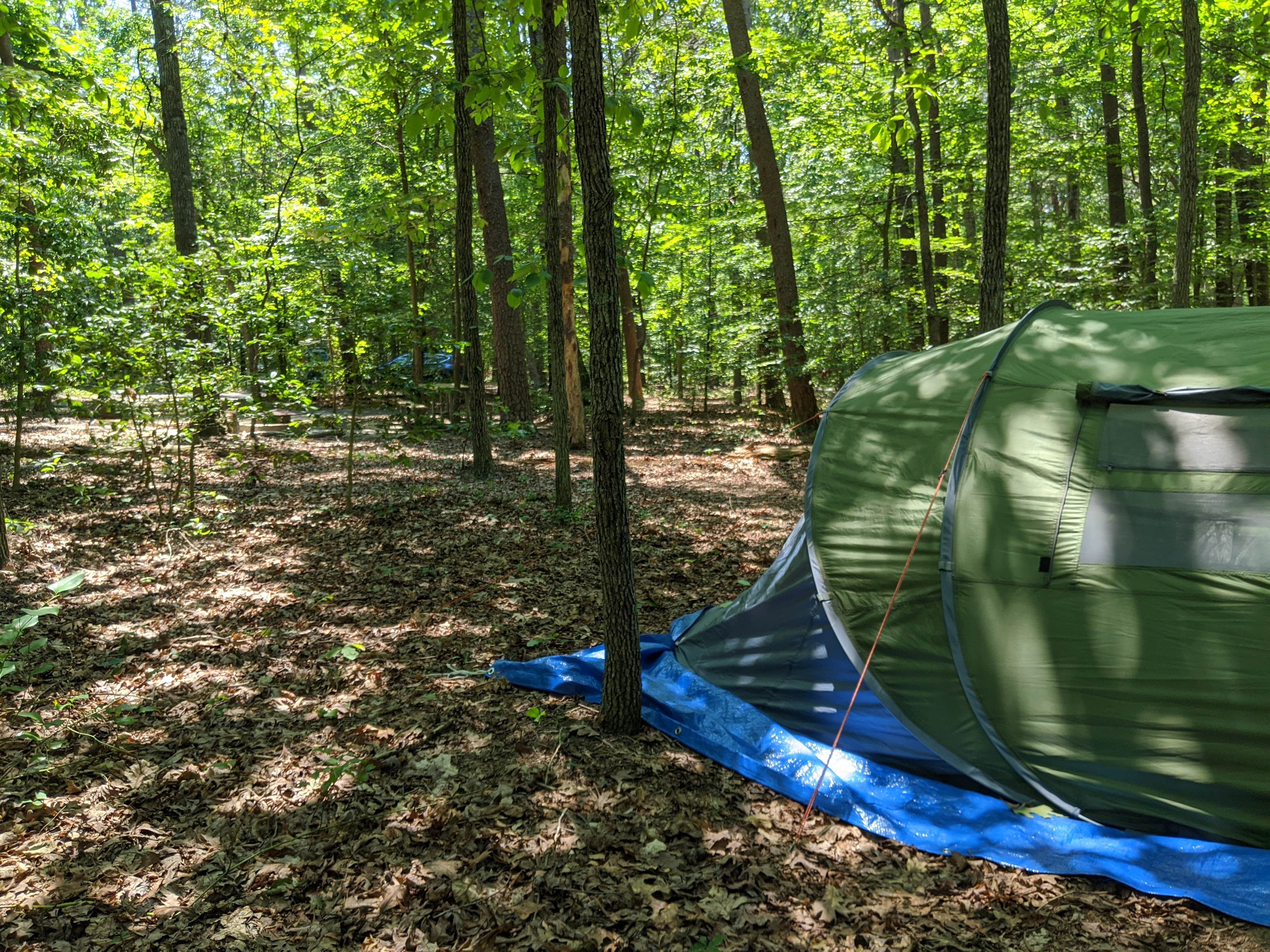 Janelle's photo at Oak Ridge Campground — Prince William Forest Park near Elkwood, VA
