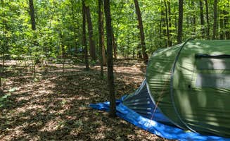 Janelle's photo at Oak Ridge Campground — Prince William Forest Park near Brooke, VA