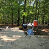 Review photo of Oak Ridge Campground — Prince William Forest Park by Janelle , November 3, 2020