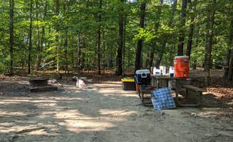 Janelle's photo at Oak Ridge Campground — Prince William Forest Park near Midland, VA