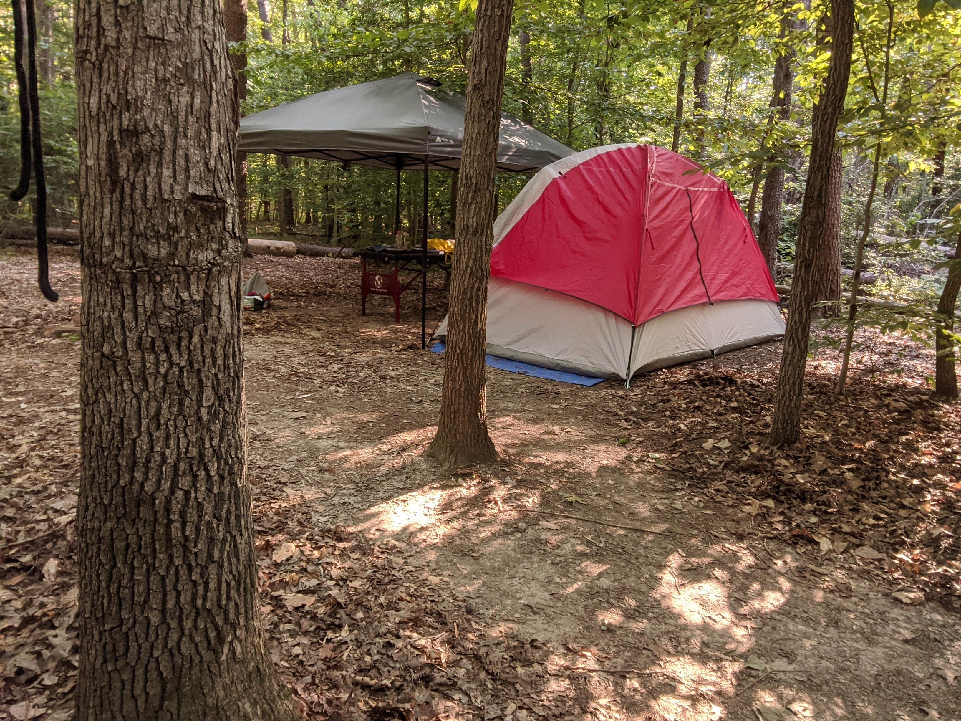 Janelle's photo at Oak Ridge Campground — Prince William Forest Park near Brooke, VA