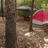 Review photo of Oak Ridge Campground — Prince William Forest Park by Janelle , November 3, 2020