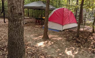 Janelle's photo at Oak Ridge Campground — Prince William Forest Park near Sumerduck, VA
