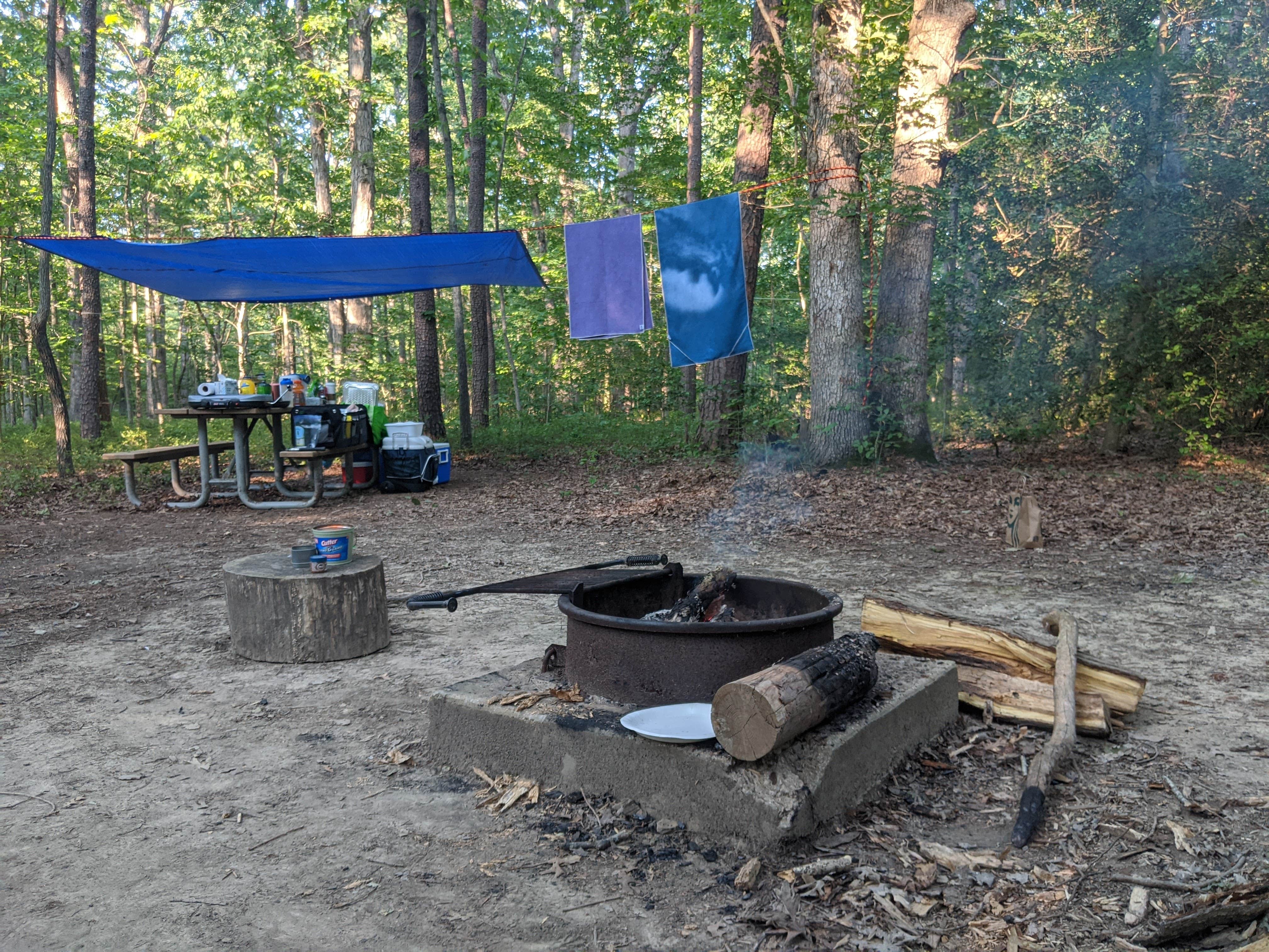 Janelle's photo at Oak Ridge Campground — Prince William Forest Park near Stafford, VA