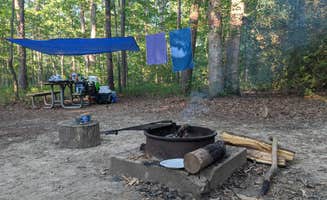 Janelle's photo at Oak Ridge Campground — Prince William Forest Park near King George, VA