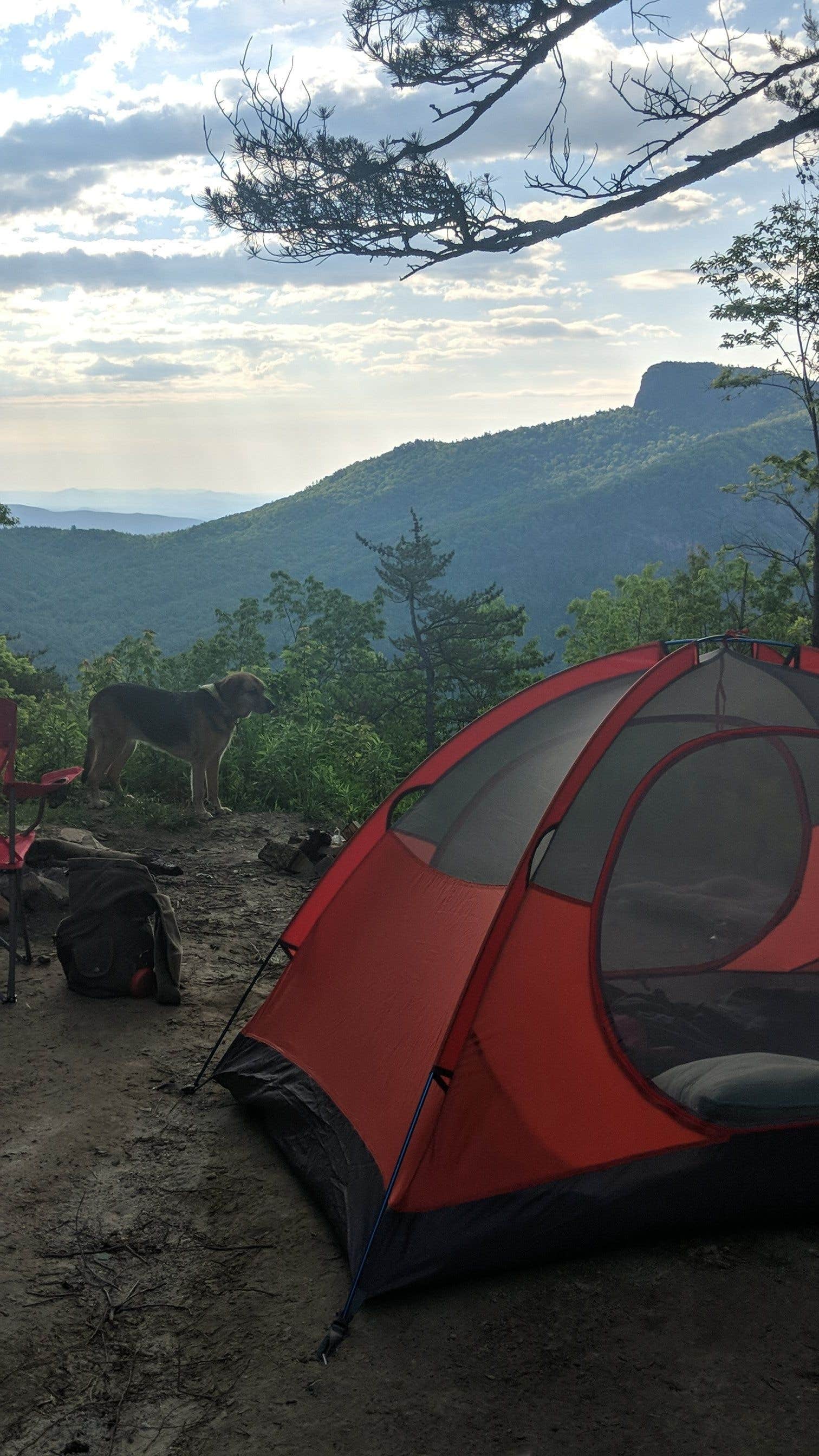 Camper-submitted photo at Linville Gorge Wilderness Dispersed Camping--Western Section, NC 128 he near Jonas Ridge, NC