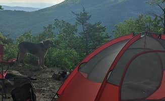Jolie L.'s photo of camping with pets at Linville Gorge Wilderness Dispersed Camping--Western Section, NC 128 he near Pinehurst, NC