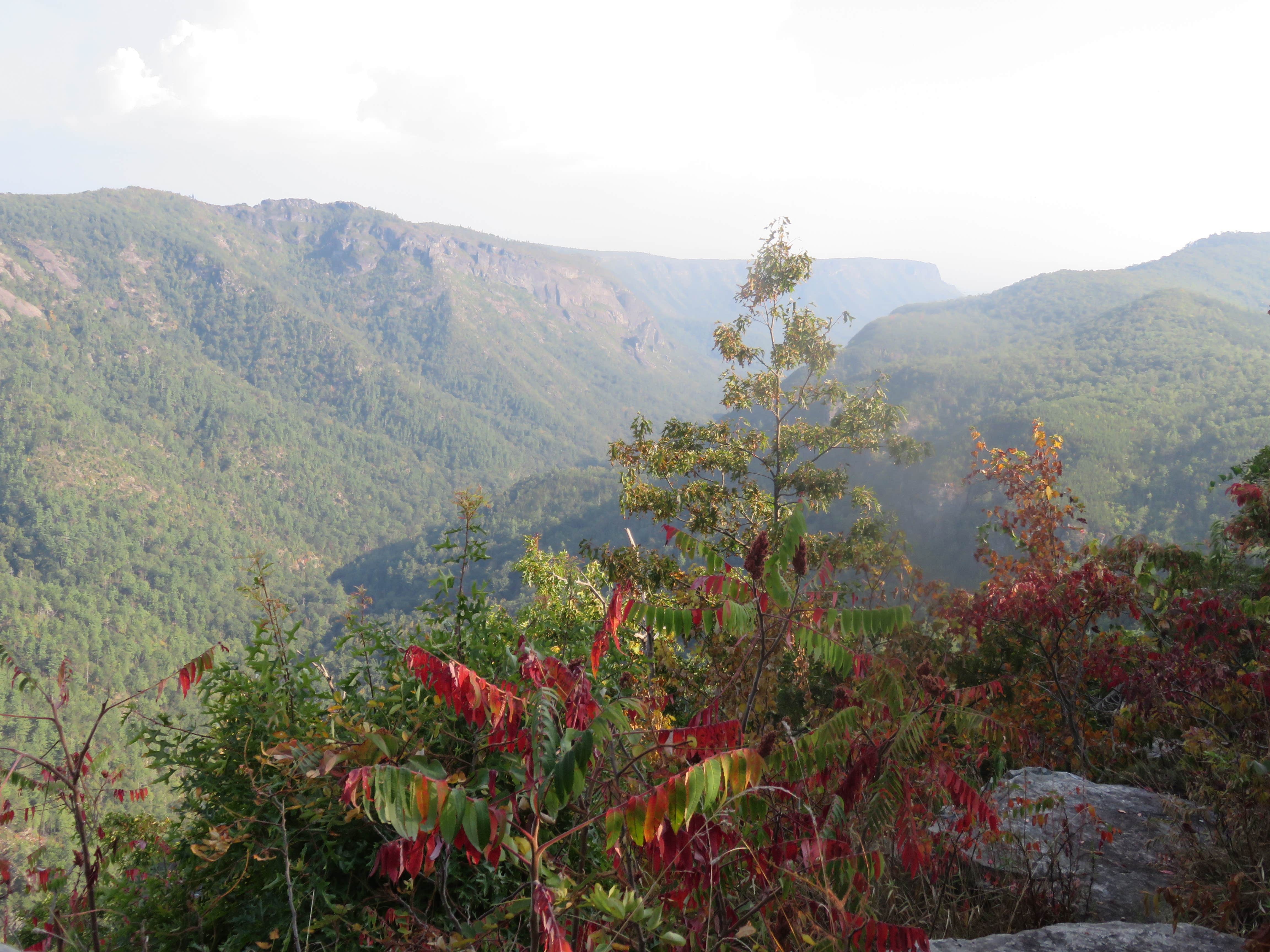 Camper-submitted photo at Linville Gorge Wilderness Dispersed Camping--Western Section, NC 128 he near Jonas Ridge, NC