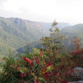 Review photo of Linville Gorge Wilderness Dispersed Camping--Western Section, NC 128 he by Jolie L., November 3, 2020