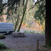 Review photo of Hoh Oxbow Campground by Abby M., November 3, 2020