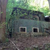 Review photo of Elkmont Campground — Great Smoky Mountains National Park by Alicia B., July 10, 2016