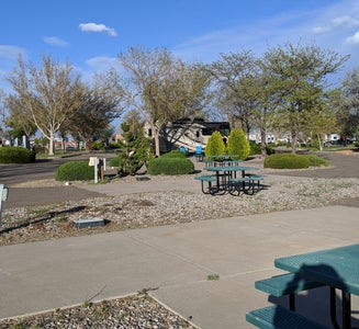 Camper-submitted photo from American RV Resort