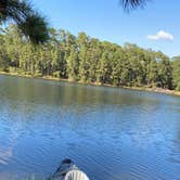 Review photo of Double Lake NF Campground by Preston M., November 3, 2020