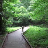 Review photo of Julian Price Park Campground — Blue Ridge Parkway by Jolie L., November 3, 2020