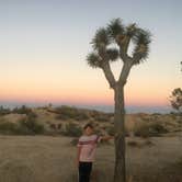 Review photo of Jumbo Rocks Campground — Joshua Tree National Park by Robert  K., November 4, 2020