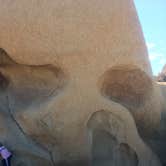 Review photo of Jumbo Rocks Campground — Joshua Tree National Park by Robert  K., November 4, 2020
